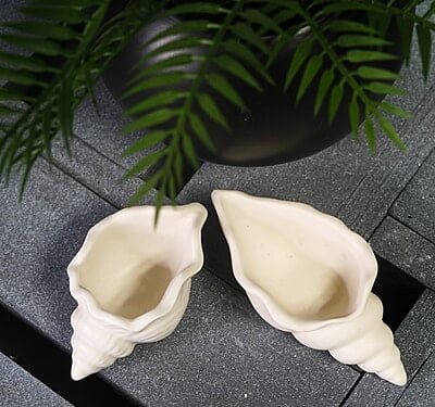 Copy of Conch Shell Trinket Bowl- Solid Colour