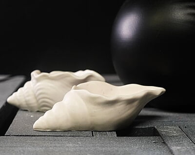 Copy of Conch Shell Trinket Bowl- Solid Colour