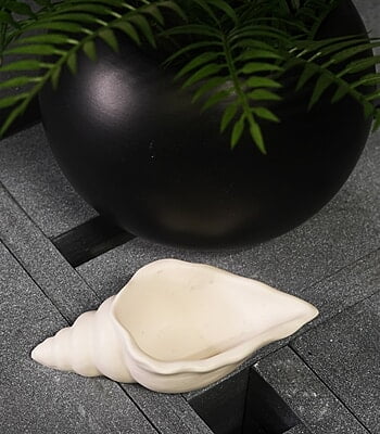 Copy of Conch Shell Trinket Bowl- Solid Colour