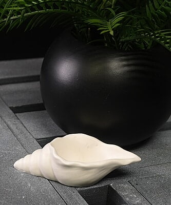 Copy of Conch Shell Trinket Bowl- Solid Colour