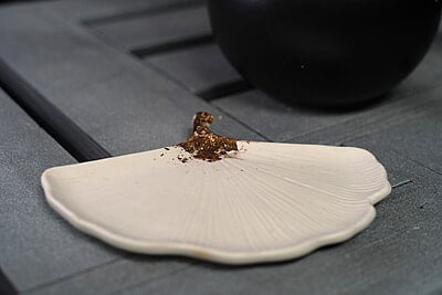 Copy of Ginkgo Leaf Trinket Tray- Metallic Stem