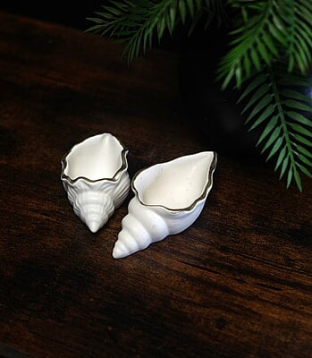 Copy of Conch Shell Trinket Bowl- Solid colour with Metallic rim