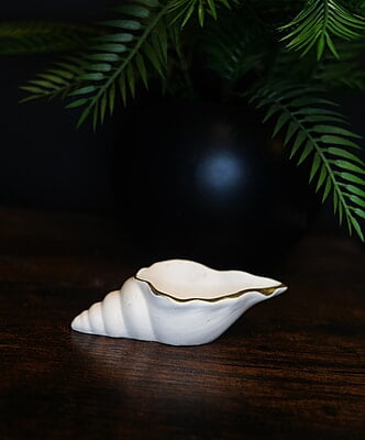 Copy of Conch Shell Trinket Bowl- Solid colour with Metallic rim