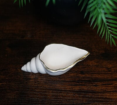 Copy of Conch Shell Trinket Bowl- Solid colour with Metallic rim
