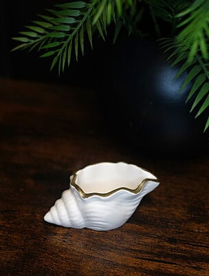 Copy of Conch Shell Trinket Bowl- Solid colour with Metallic rim