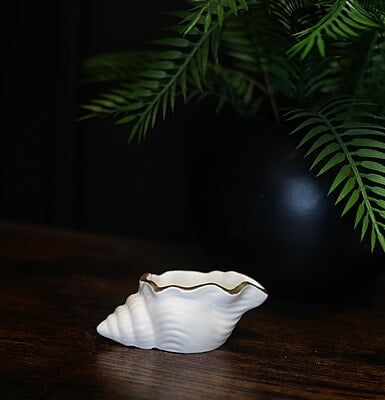 Copy of Conch Shell Trinket Bowl- Solid colour with Metallic rim