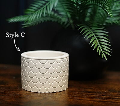 Copy of Pattern Pot/ Holder- Solid Colour Copy of Pattern Pot/ Holder- Solid Colour